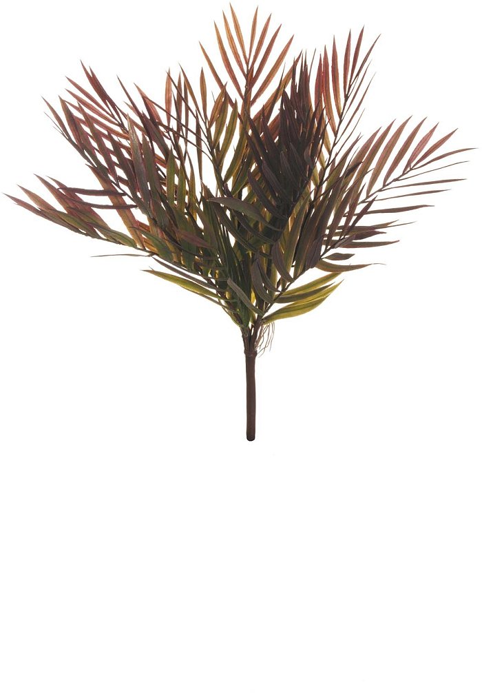Bush foglie areca verde/bordeaux
