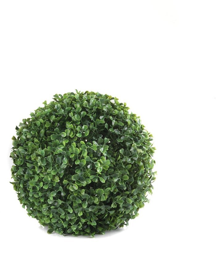 Sfera di bosso verde