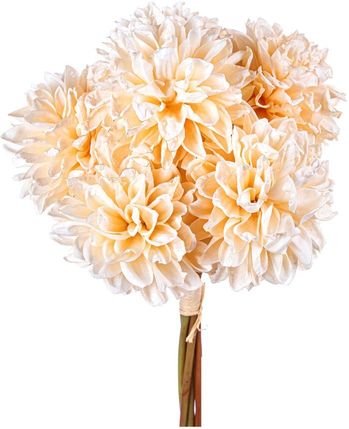Bouquet dalie con 6 rami