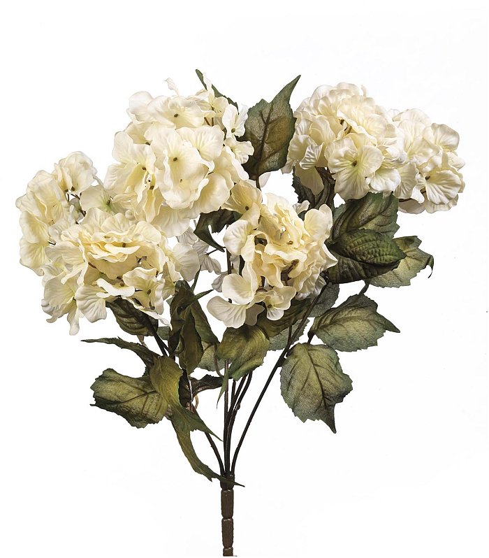 Confezione 2 bush ortensie crema con 7 fiori a bush