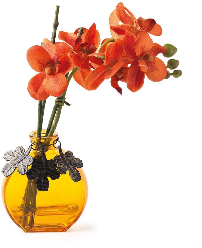 Orchidea in vaso di vetro