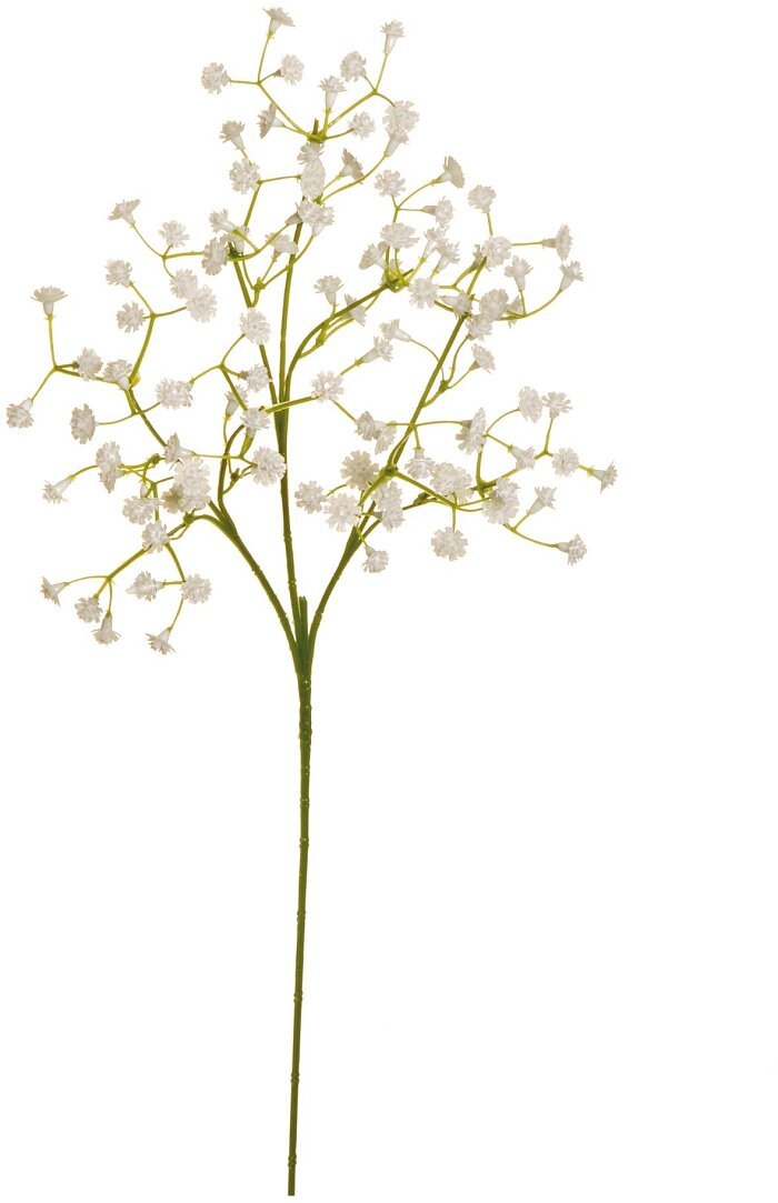 Confezione 6 rami gypsophila con 108 fiori bianchi