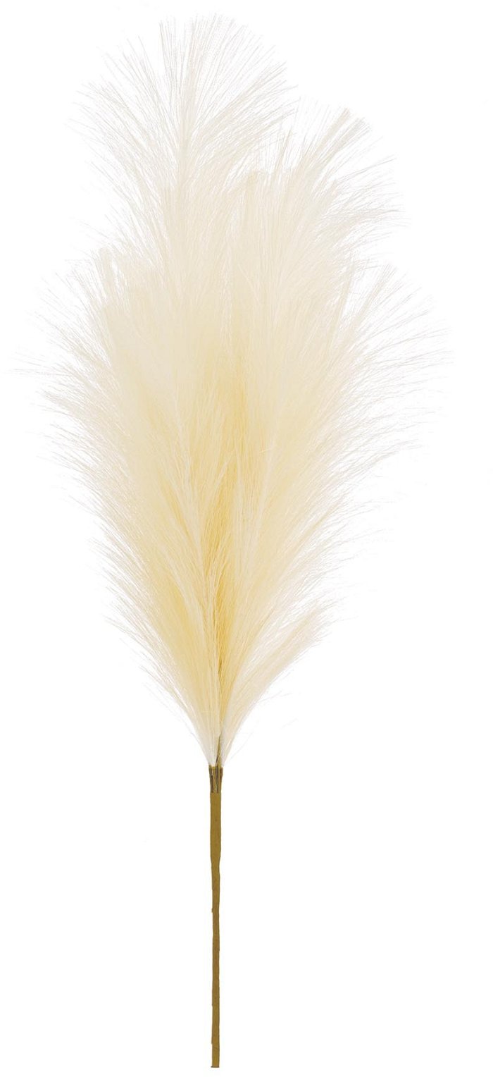 Ramo di pampas