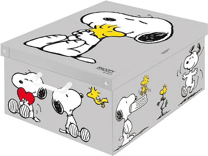 Box armadio Snoopy verniciato