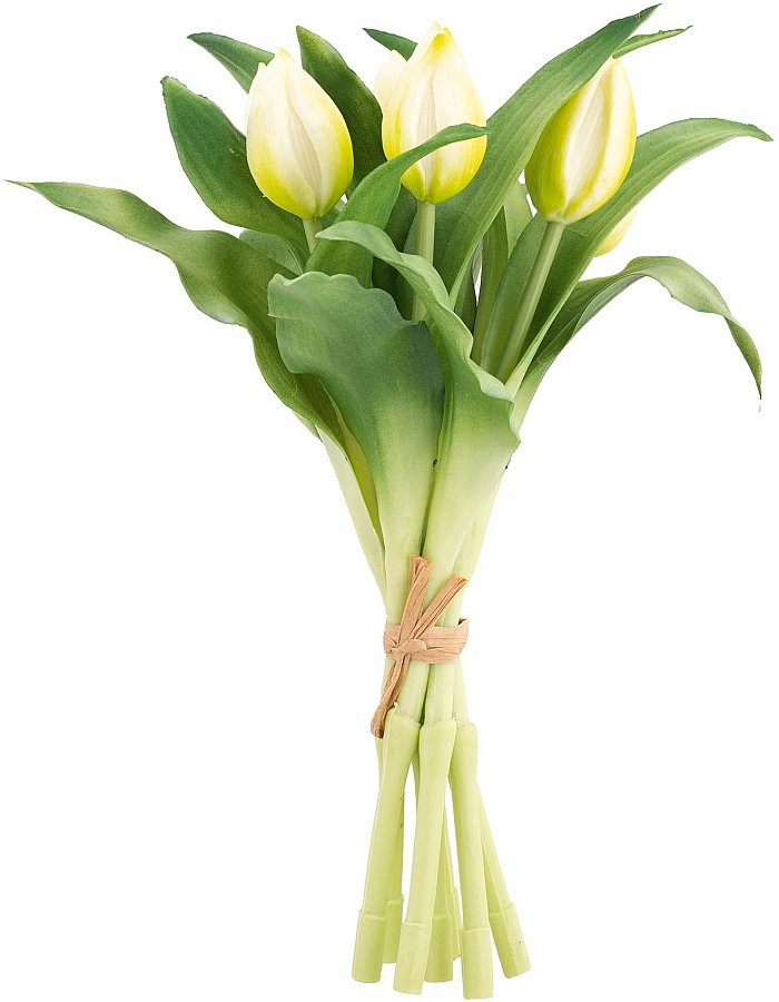 Mazzo 7 tulipani