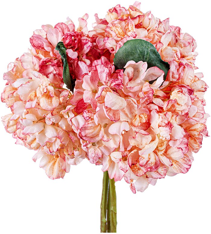 Bouquet ortensie con 3 rami