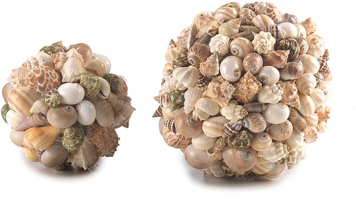 Sfera conchiglie