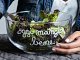 coppa_vetro_decoro_oggi_mangio_bene_AM_10012555_1702x1702